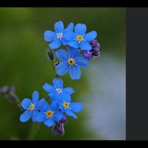 Meet your Posher, Imelda